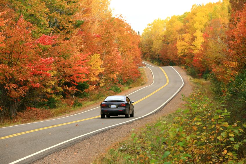 car driving on a country road with fall foliage